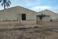 Sale - Finca - Elche