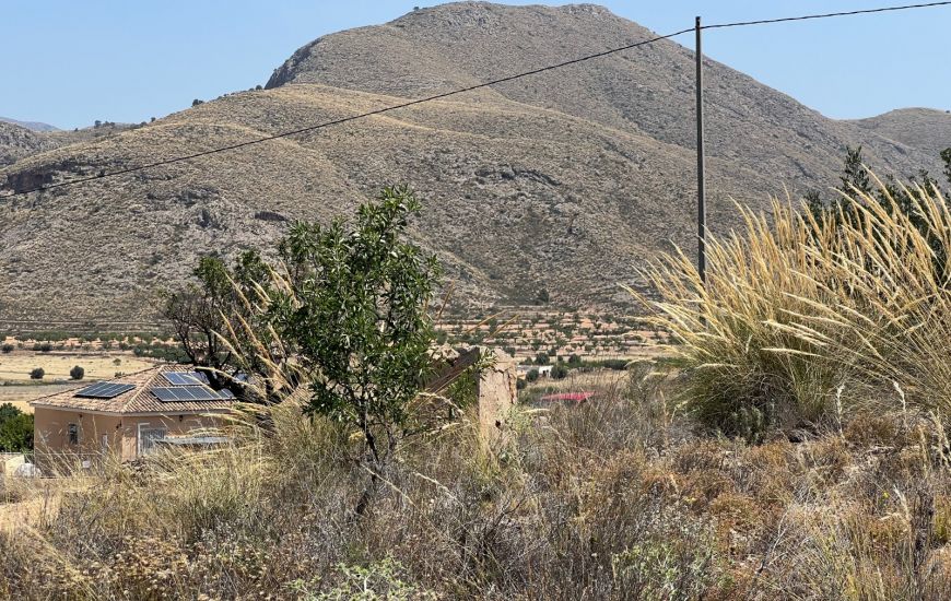 Sale - Land - Hondon de los Frailes