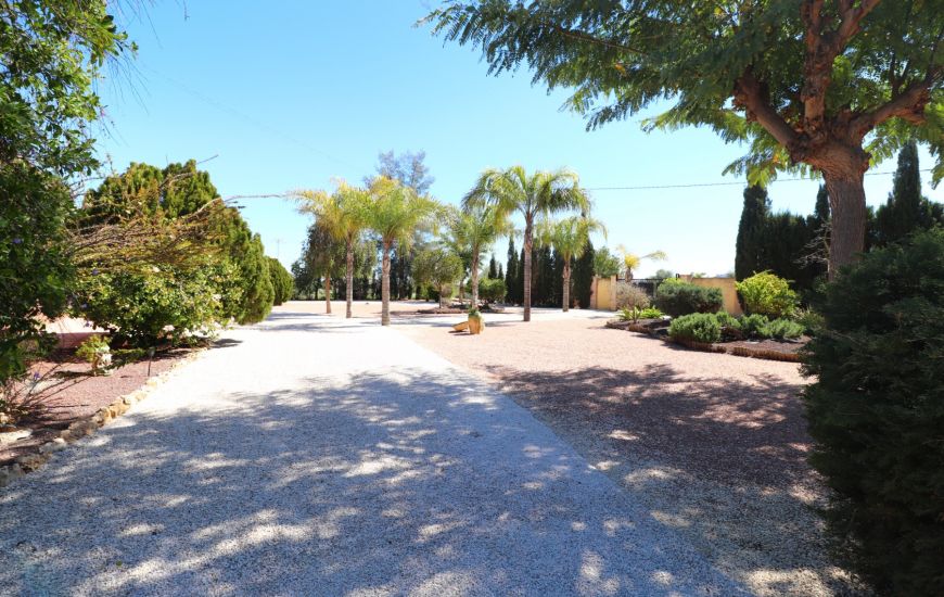 Sale - Country Property - Callosa de Segura