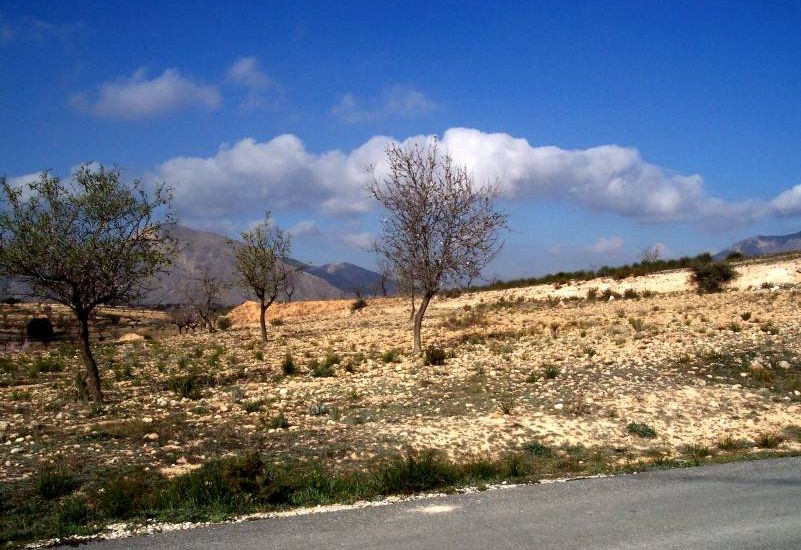 Venta - Terreno - Hondon de los Frailes