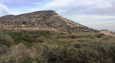 Land - Sale - Novelda - Novelda