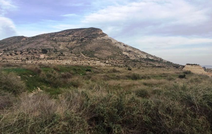 Sale - Land - Novelda