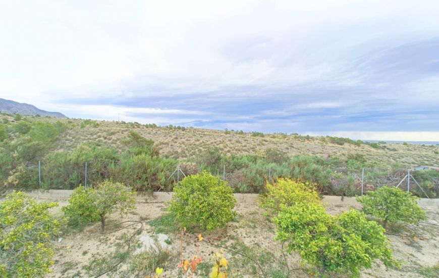 Venta - Casa Rural - Albatera