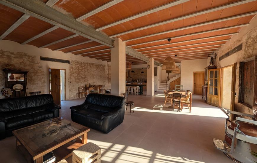Sale - Finca - Salinas