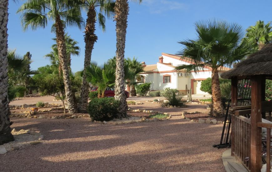 Sale - Finca - Daya Vieja