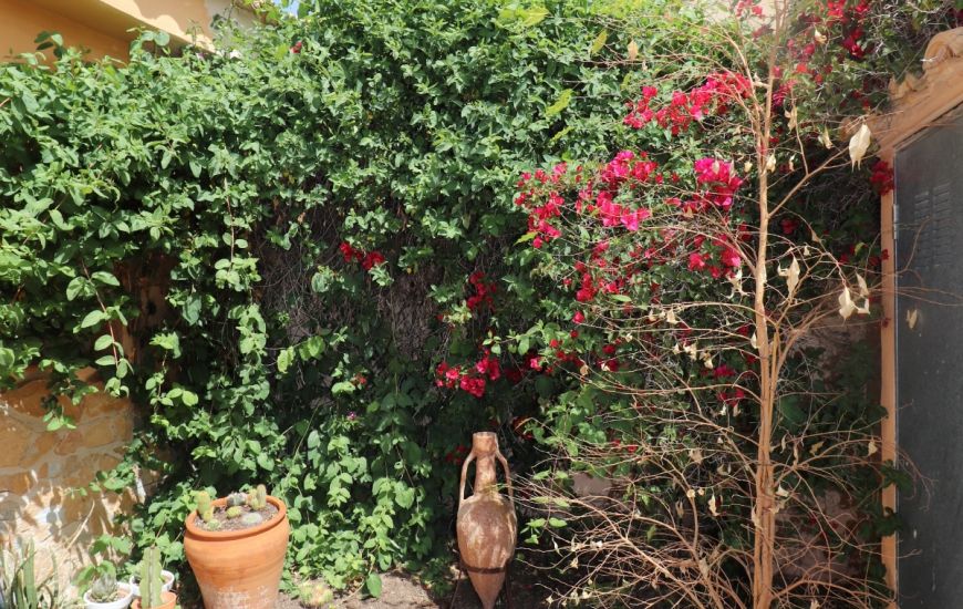 Sale - Country Property - Hondón de las Nieves