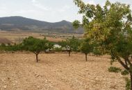 Sale - Land - Hondón de las Nieves