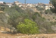 Sale - Apartments - Ciudad Quesada