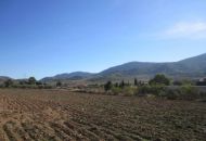 Sale - Finca - Hondon de los Frailes