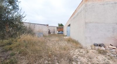 Casa Rural - Venta - La Romana - La Romana