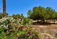 Sale - Apartments - Ciudad Quesada