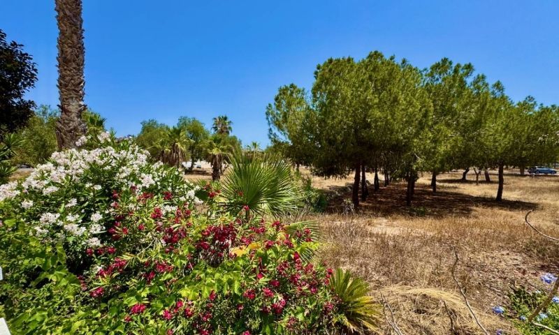 Sale - Apartments - Ciudad Quesada