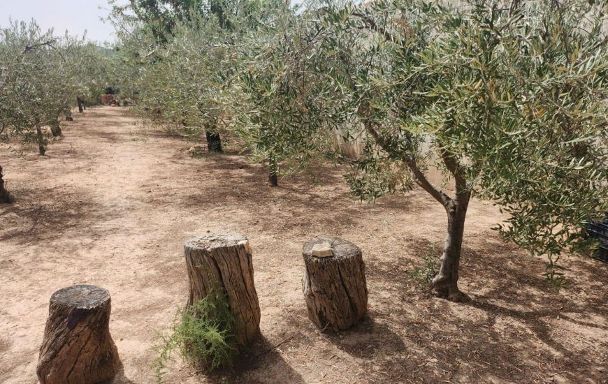 Venta - Villa - Hondón de las Nieves