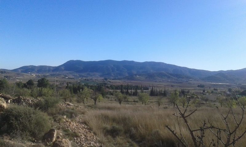 Sale - Land - Hondón de las Nieves