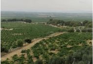 Venta - Casa Rural - 