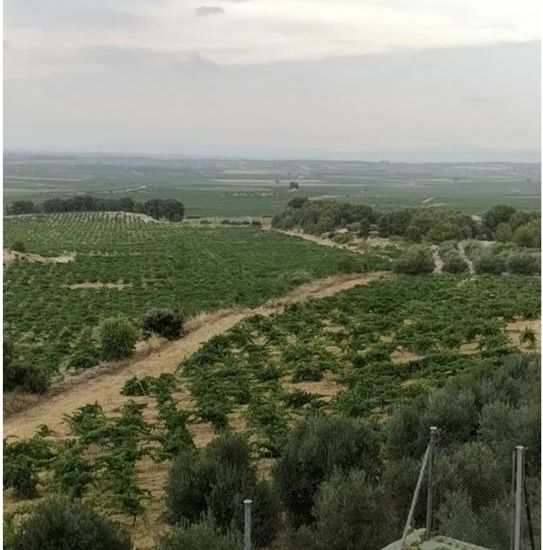 Venta - Casa Rural - 