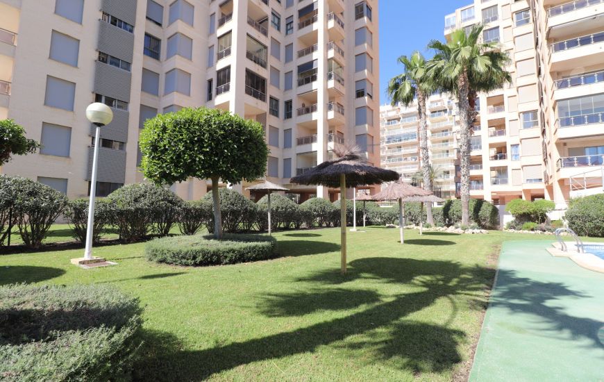Sale - Duplex - Guardamar del Segura
