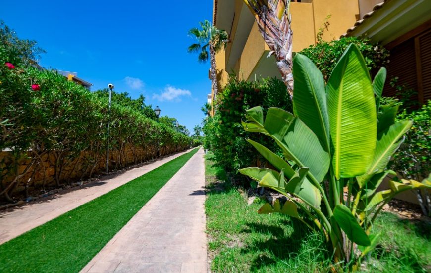 Sale - Apartments - Punta Prima