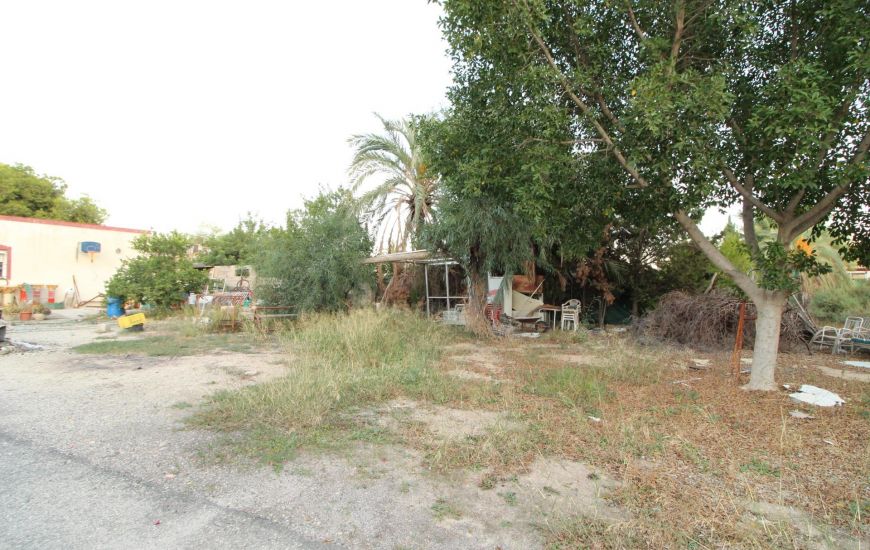 Sale - Finca - Elche
