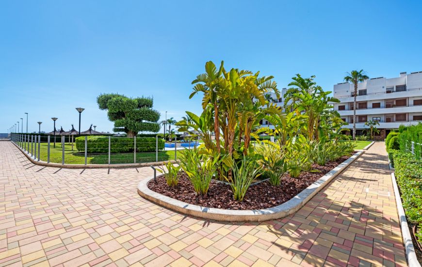 Sale - Apartments - Cabo Roig