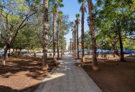 Sale - Apartments - Torrevieja