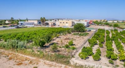 Apartamentos - Venta - Formentera Del Segura - Formentera del Segura