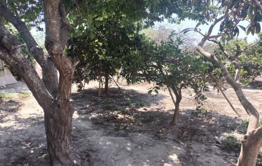 Sale - Finca - Rojales
