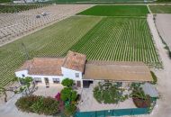 Sale - Country Property - Orihuela