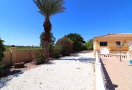 Sale - Finca - Catral