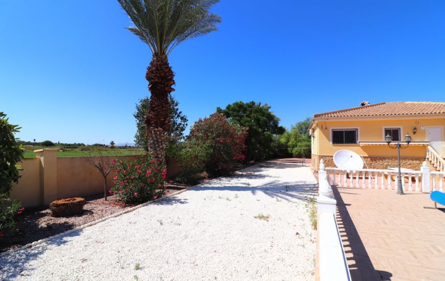 Sale - Finca - Catral
