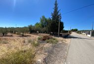 Sale - Finca - Salinas