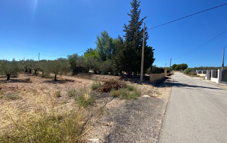 Sale - Finca - Salinas