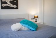 Venta - Villa - Ciudad Quesada
