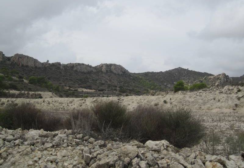 Sale - Land - Novelda