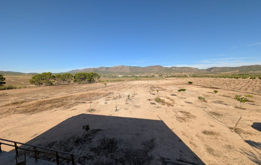 Sale - Finca - Salinas
