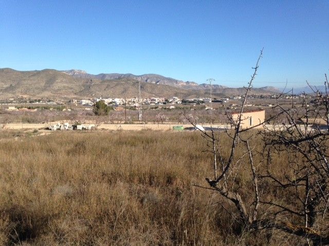 Sale - Land - Hondon de los Frailes