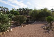Sale - Finca - Daya Vieja