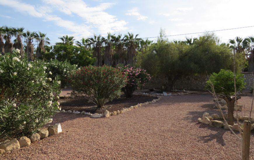 Sale - Finca - Daya Vieja