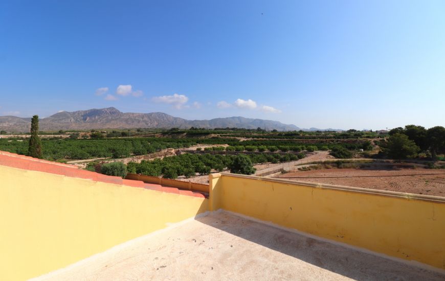 Sale - Finca - Albatera