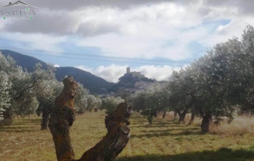 Venta - Terreno - Biar