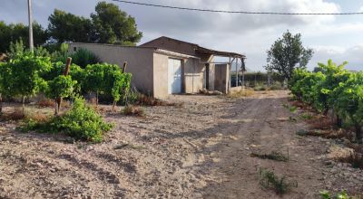 Terreno - Venta - Novelda - Novelda