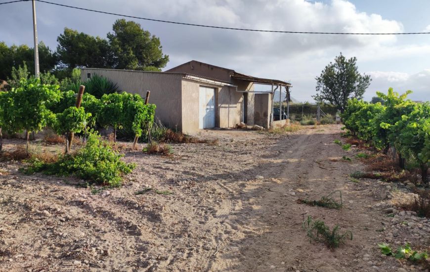 Venta - Terreno - Novelda