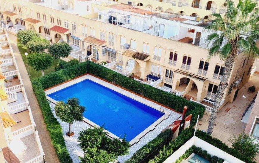 Sale - Apartments - La Mata
