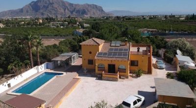 Apartamentos - Venta - Orihuela - Orihuela