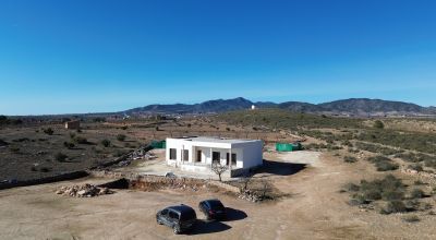 Finca - New Build - Pinoso - Pinoso