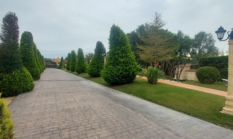 Sale - Villa - Hondón de las Nieves