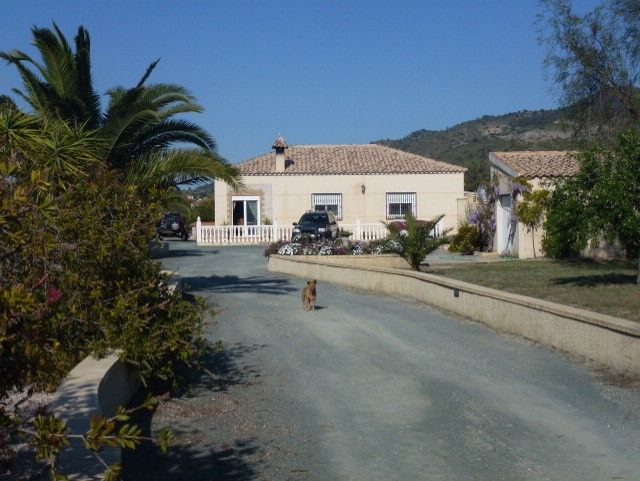 Venta - Casa Rural - Hondon de los Frailes