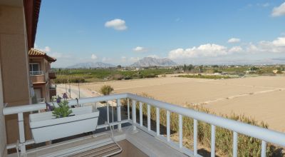 Apartments - Sale - Algorfa - Algorfa