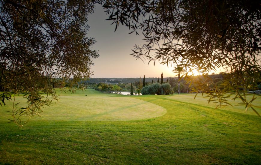 Venta - Apartamentos - Campoamor