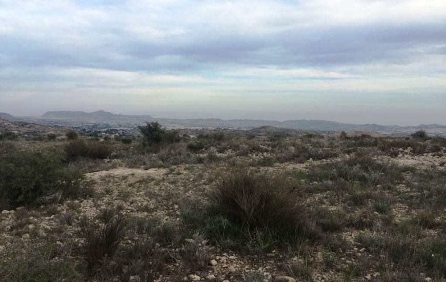 Sale - Land - Novelda